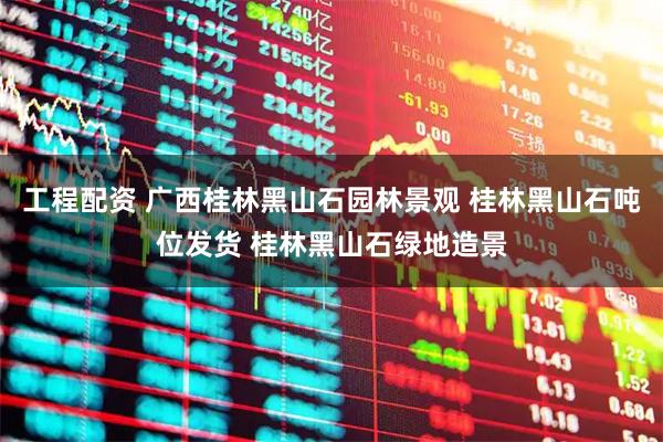 工程配资 广西桂林黑山石园林景观 桂林黑山石吨位发货 桂林黑山石绿地造景